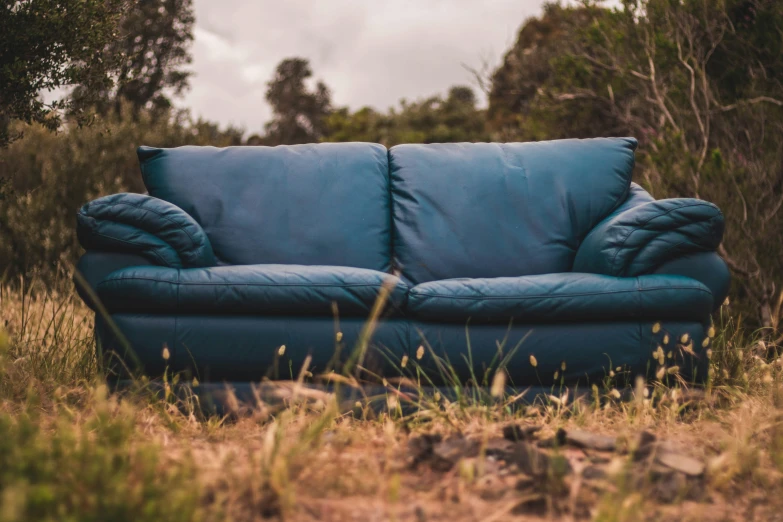 a blue leather couch sits in tall grass