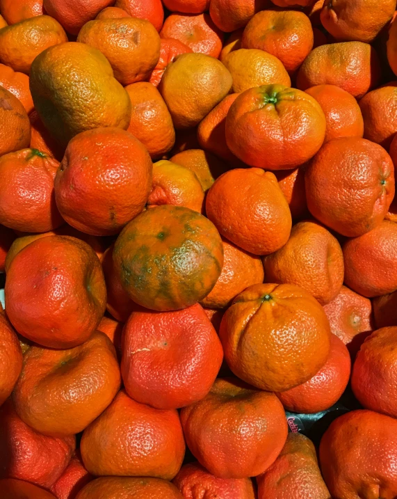 oranges piled on top of each other for sale