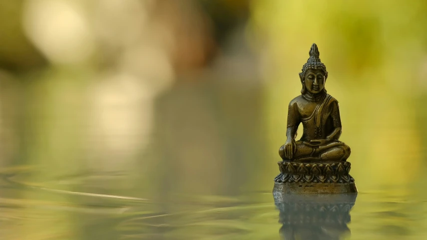 a small buddha statue sitting on top of a pond