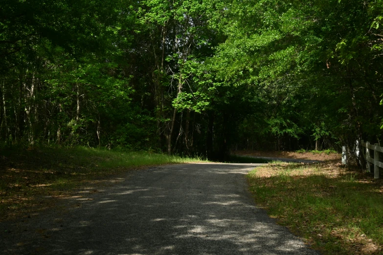 an empty road through some green trees