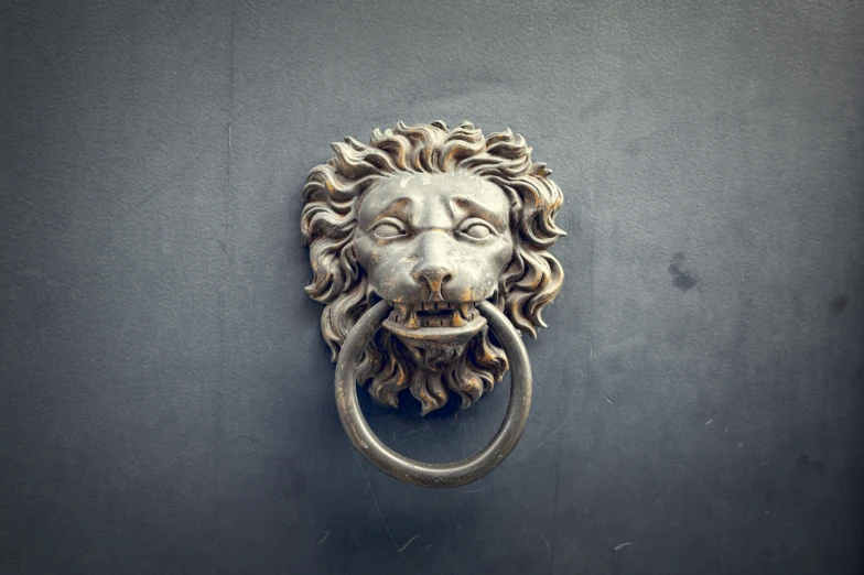 the door is shown with a lion head on it