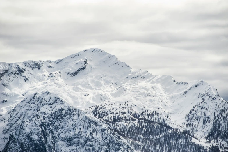 snow covered mountain peaks and trees under grey skies