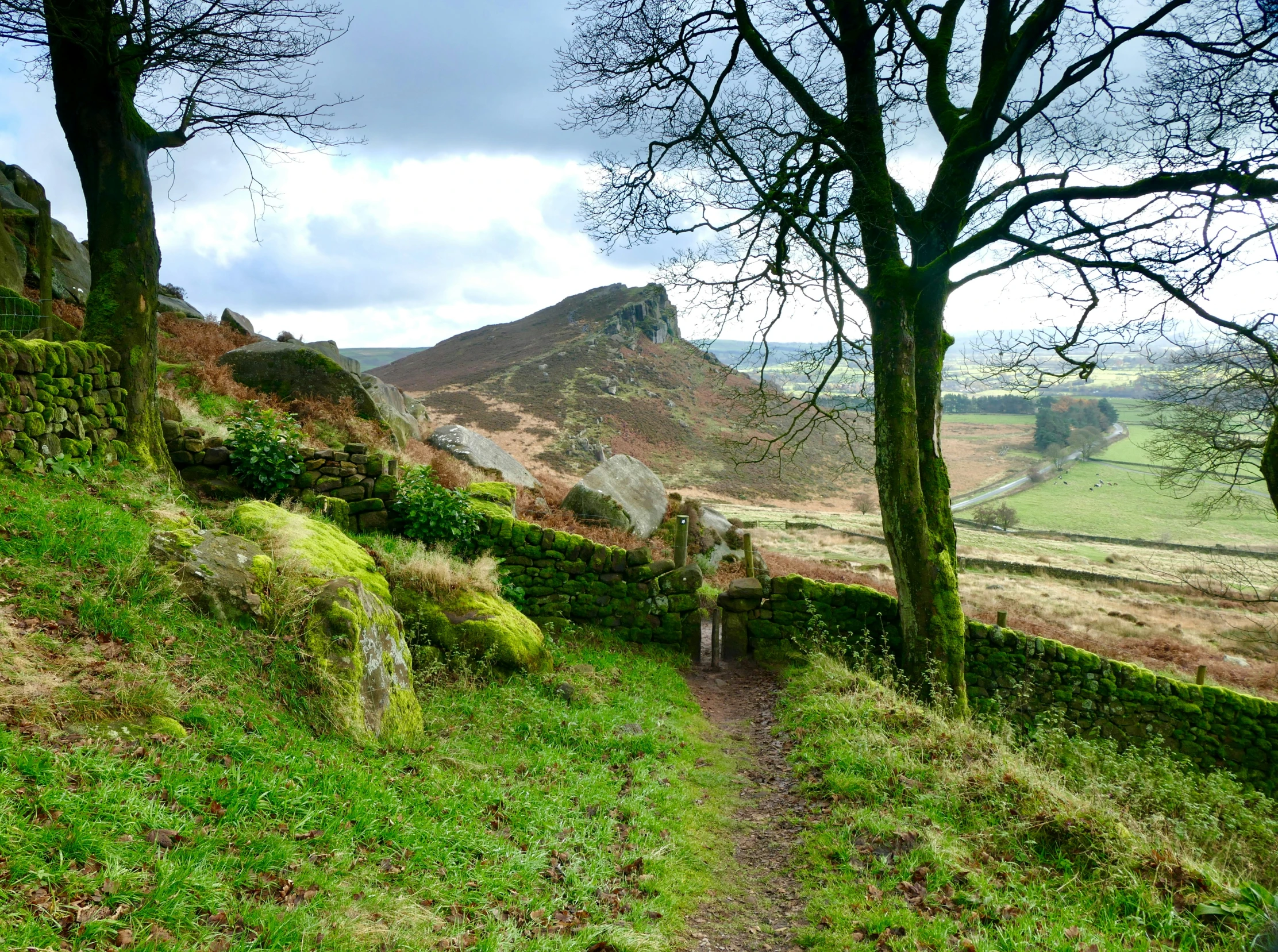 a grassy path next to a stone walled hill