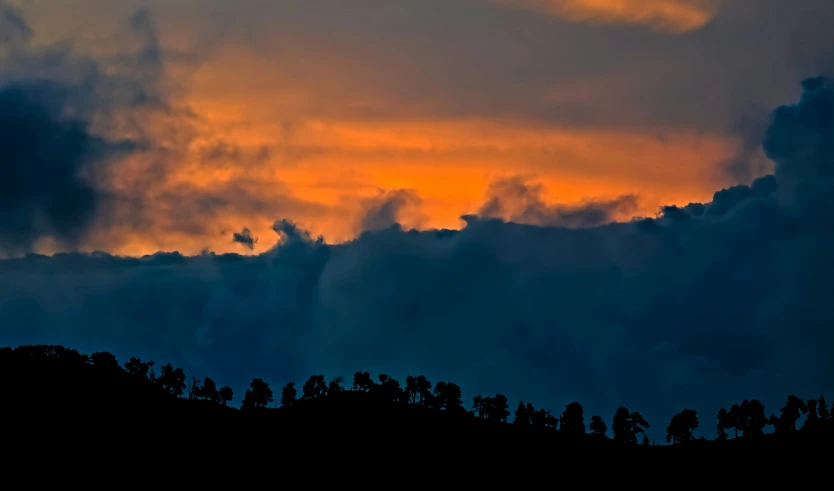 a large group of clouds over a forest