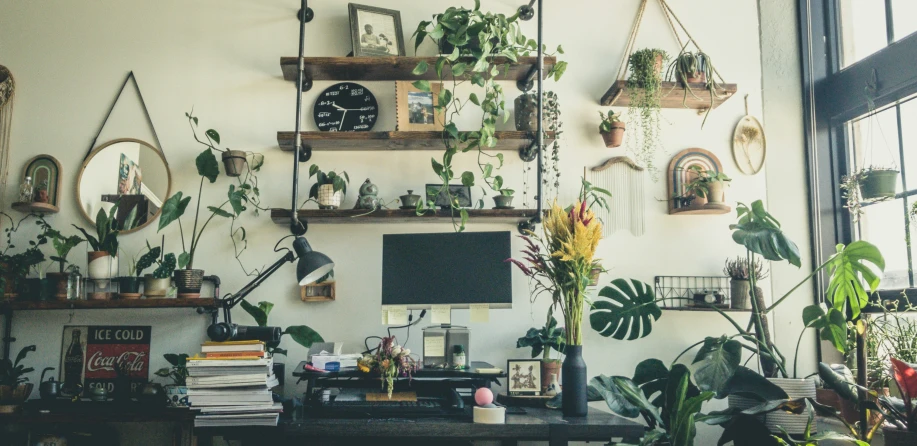 a desk with plants in different positions and hanging decorations