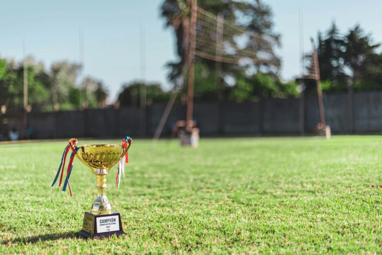 a trophy is on the grass in the middle of a soccer field