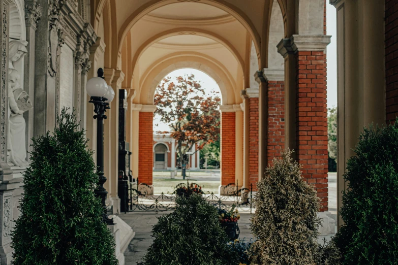 the arches are lined with topiary pots