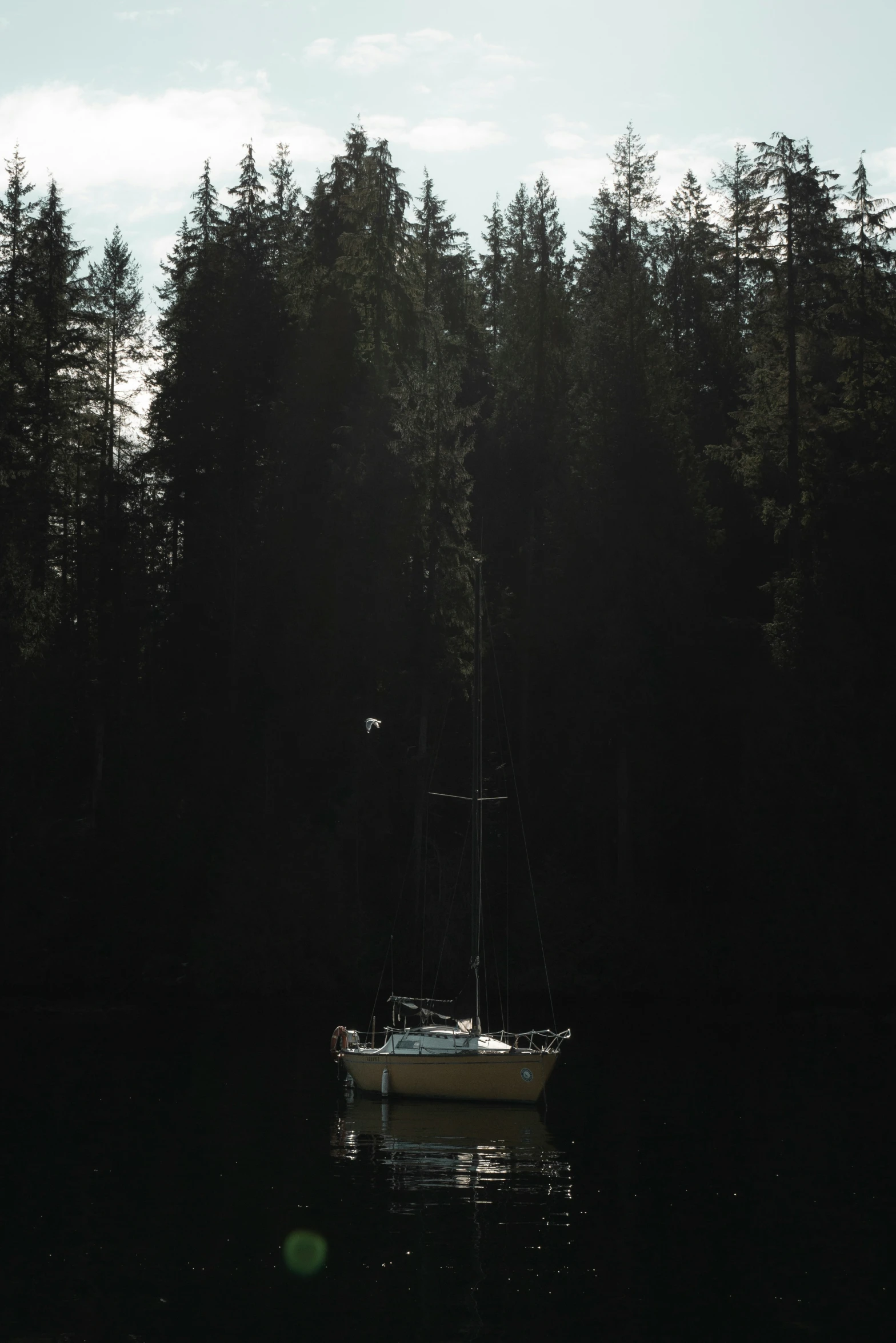 a white boat floating in a lake near tall trees