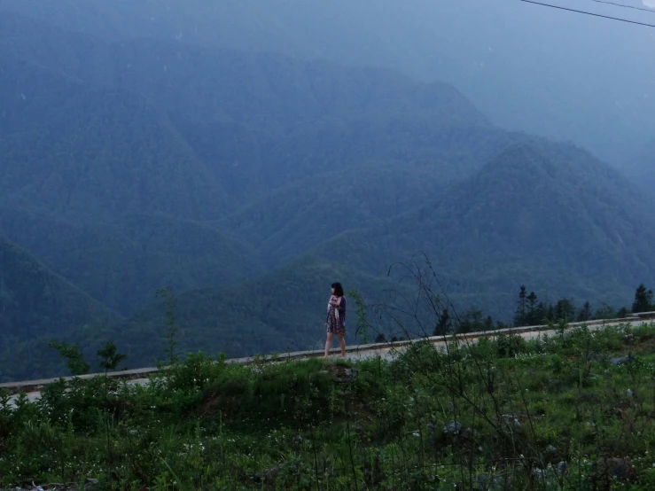a person standing on a mountain near a lush green hillside