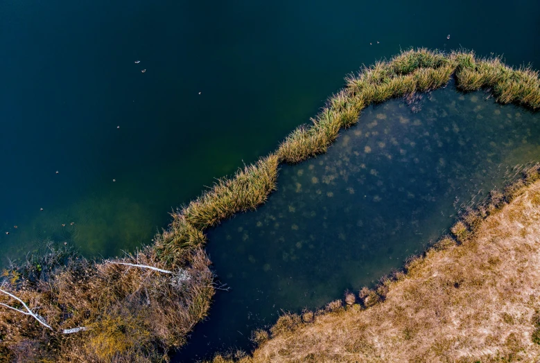 there is a strange looking rock near a lake