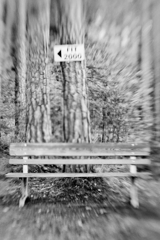 black and white pograph of bench in a wood with trees in the background