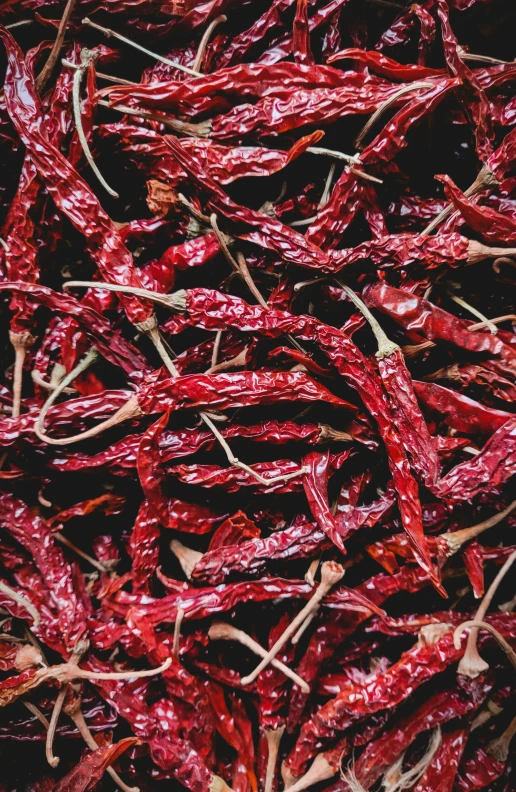 red dried gourd leaves sitting outside and all wilted