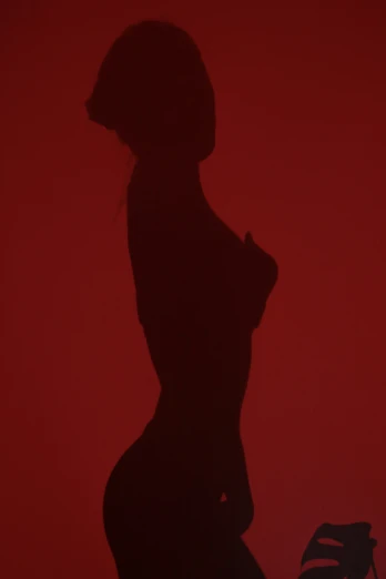 a woman is standing in front of the shadow