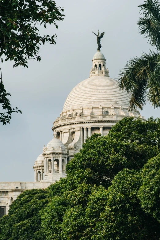 a very big dome that is in the middle of some trees