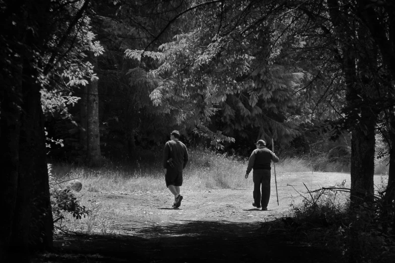 two people walking on a path through a forest