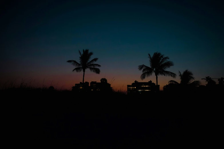 some trees and buildings at sunset or dusk