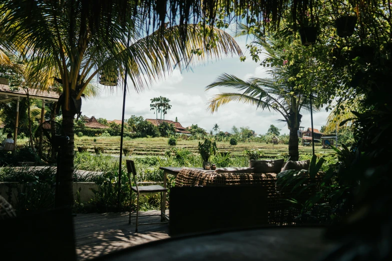 a palm tree and a grassy area are shown through some doors