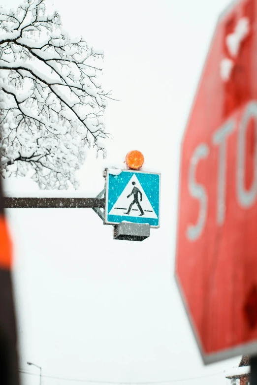 a stop sign, with a pedestrian crossing light