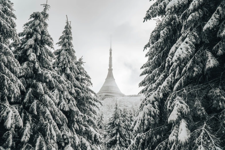 a cathedral in the middle of snow covered trees