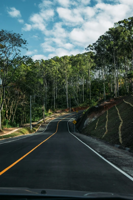 a view of the side of a road with trees