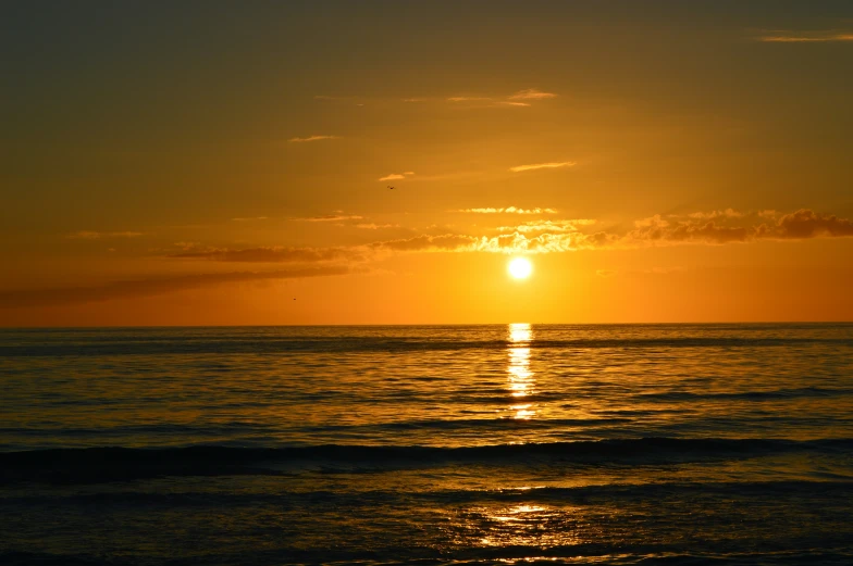 the sun is setting over the ocean with a bird flying above it