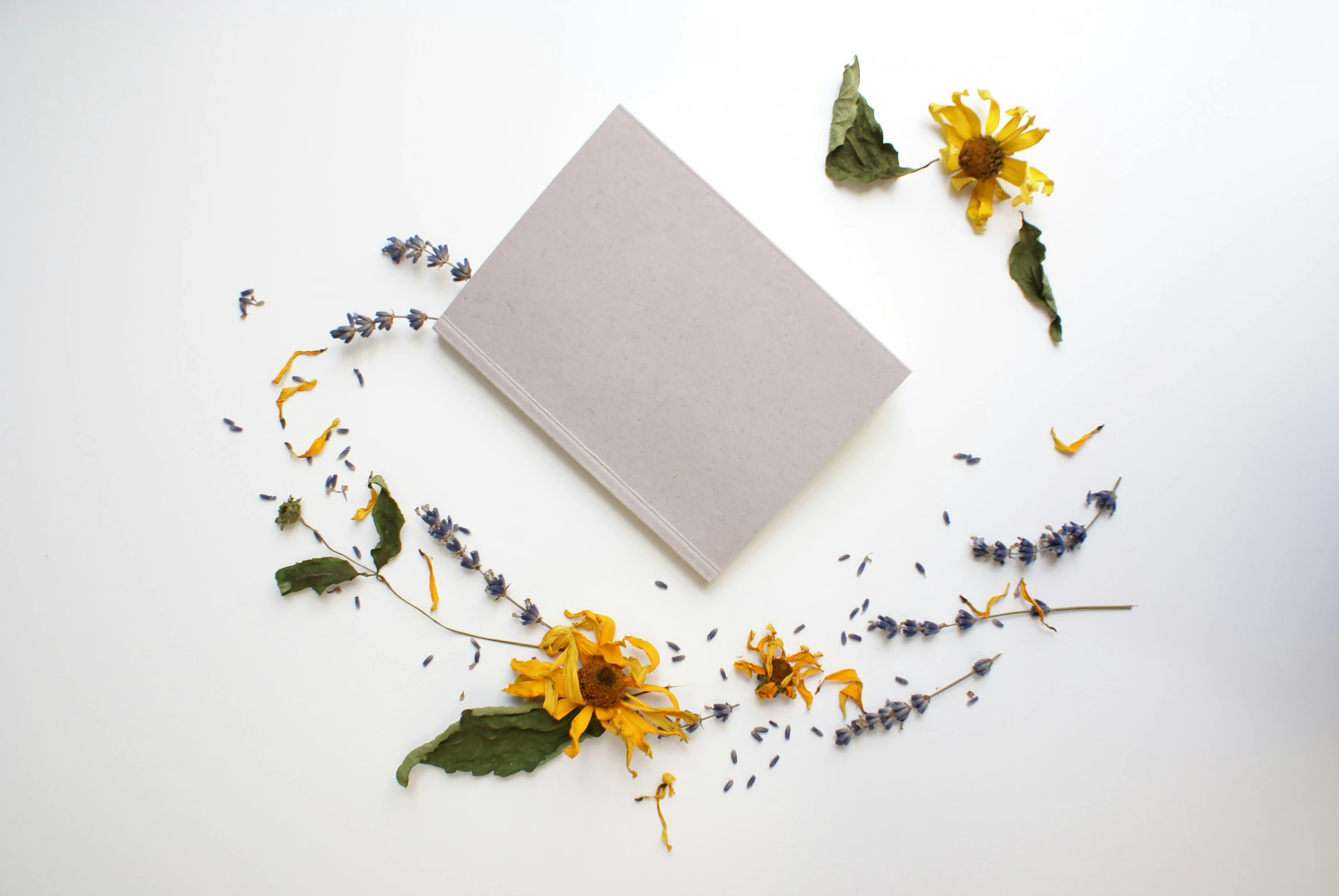 some dried flowers, book and paper on a white surface