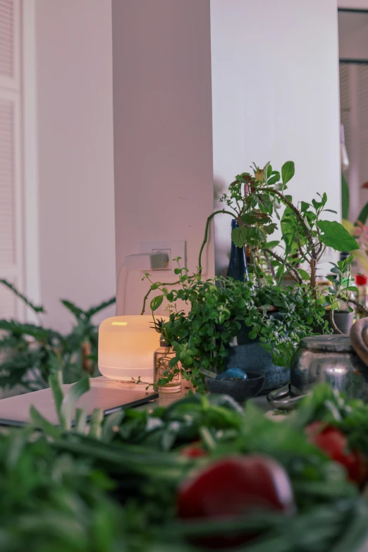 a kitchen counter that has some food on it