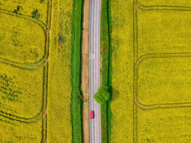 two road cars driving past a field