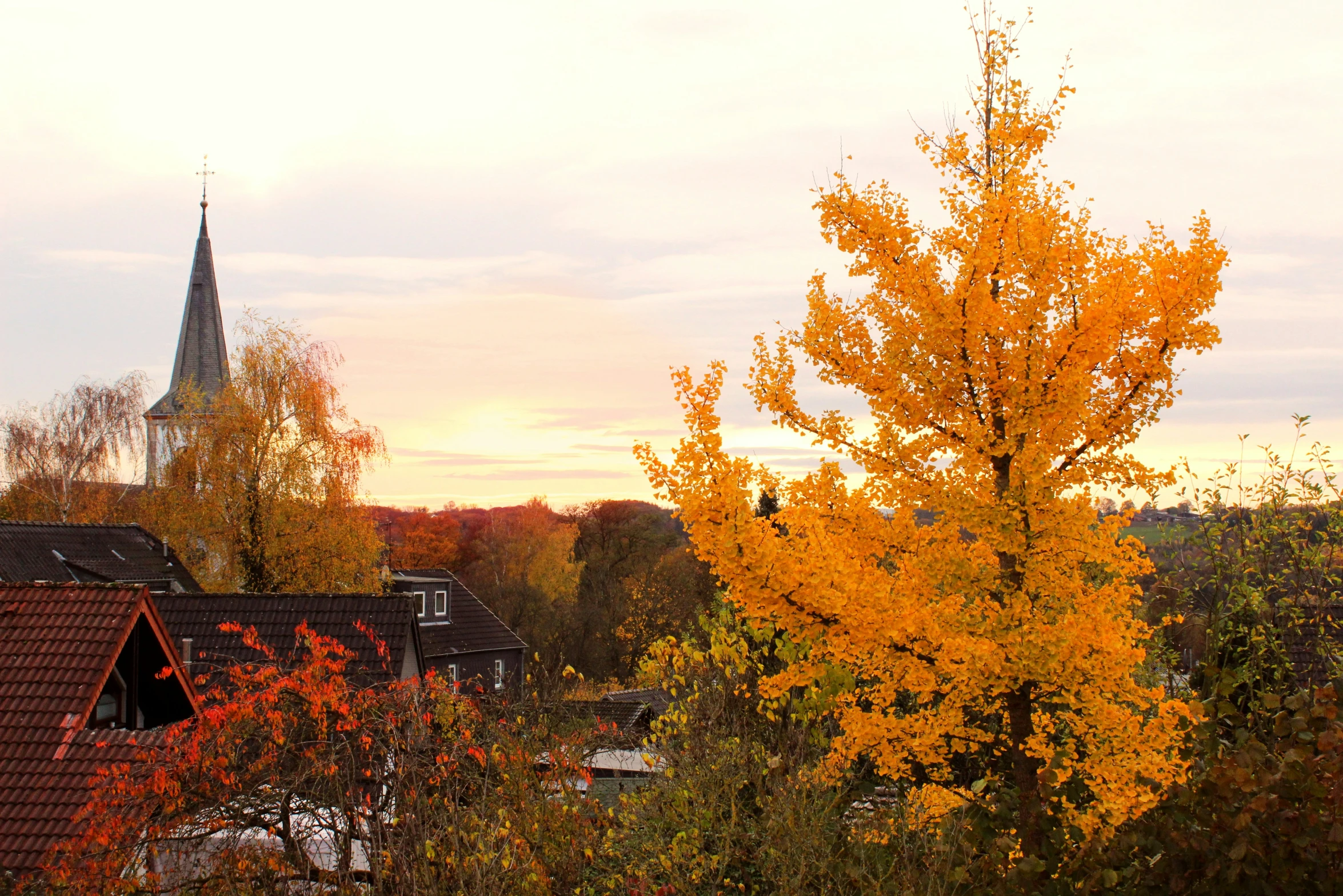 a church in the distance with yellow leaves on trees around it