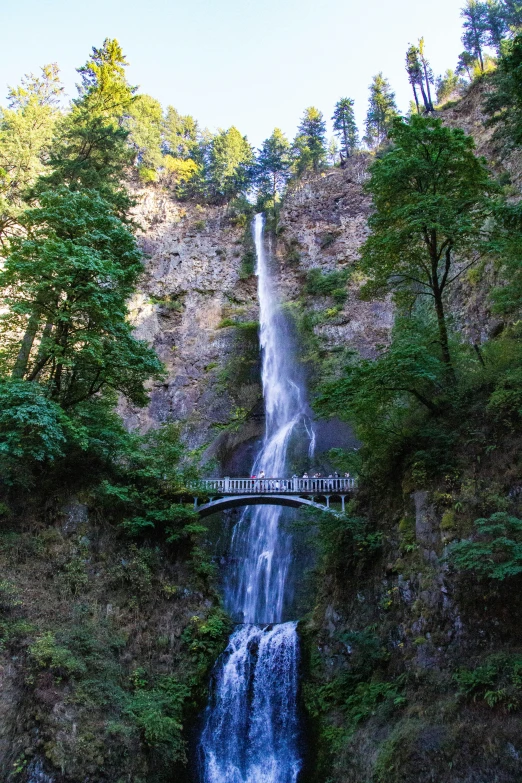 there is a big waterfall in the middle of this forest