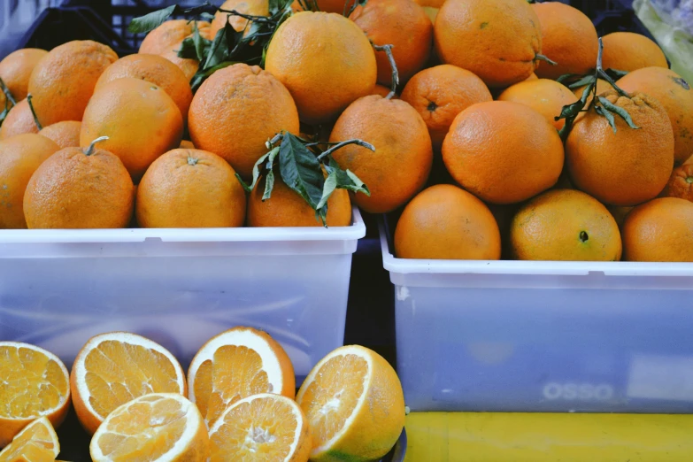 an assortment of oranges are in plastic bins