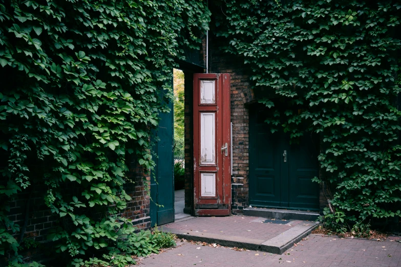 an open door in the side of an old brick building surrounded by foliage