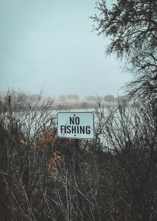 a sign sitting on the side of a tree in front of water