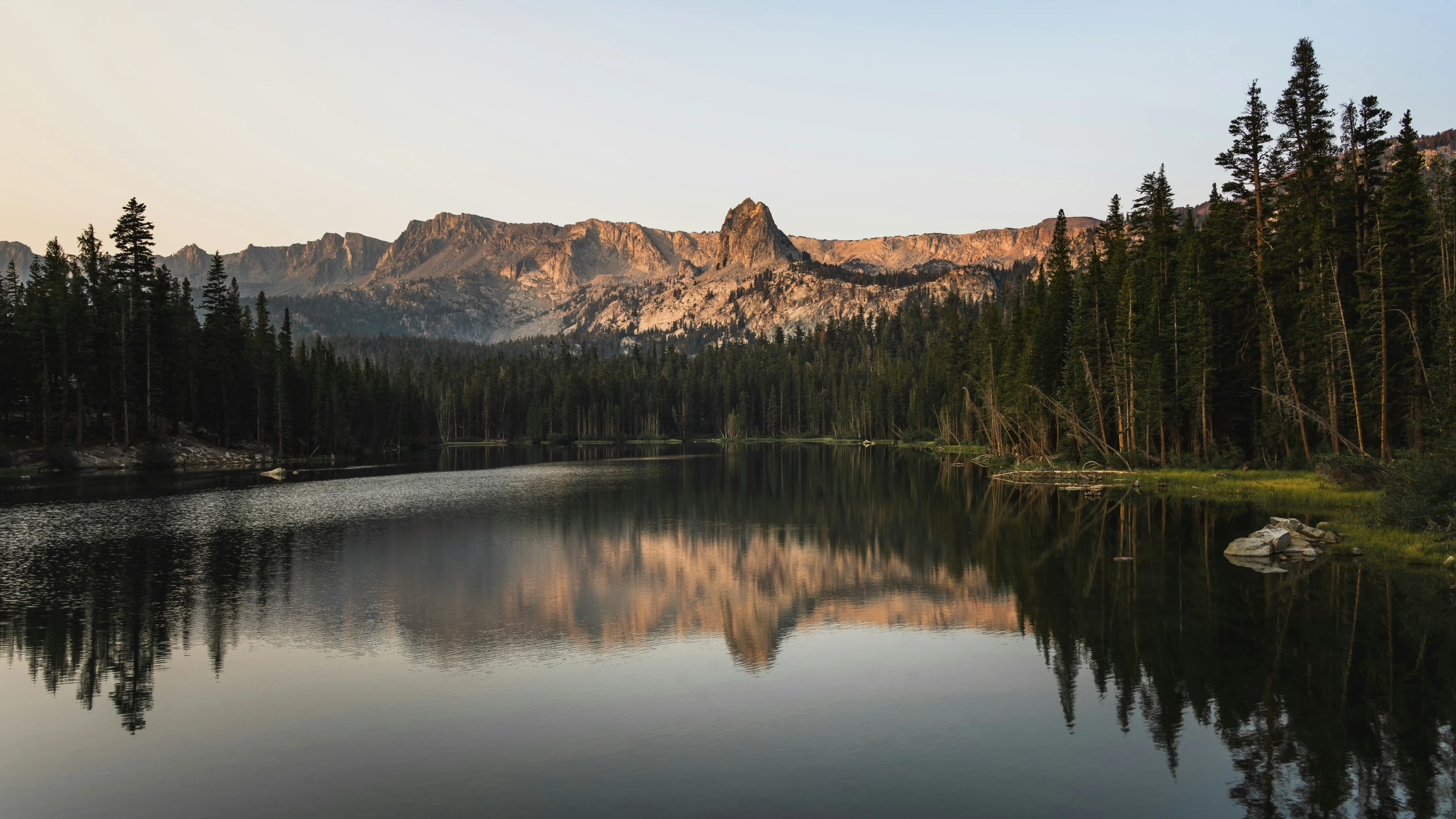 a lake in the middle of a wooded area