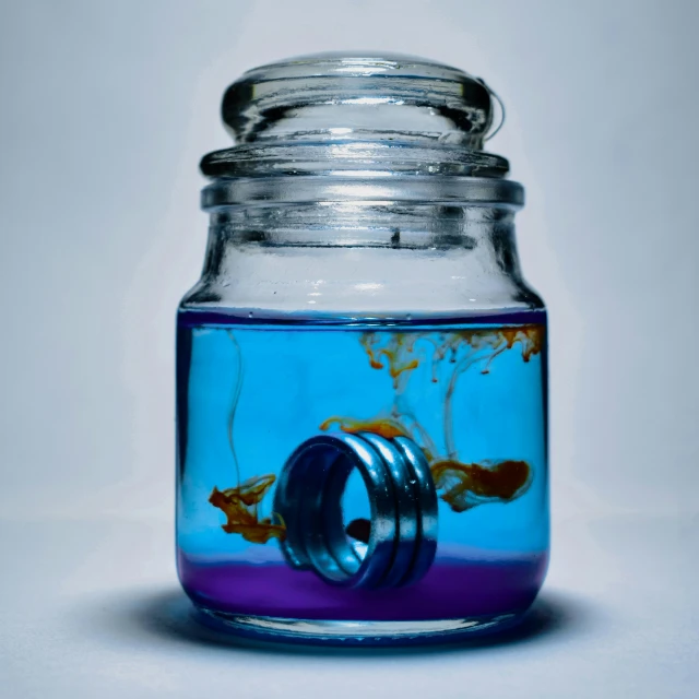 there is some fish inside of a jar