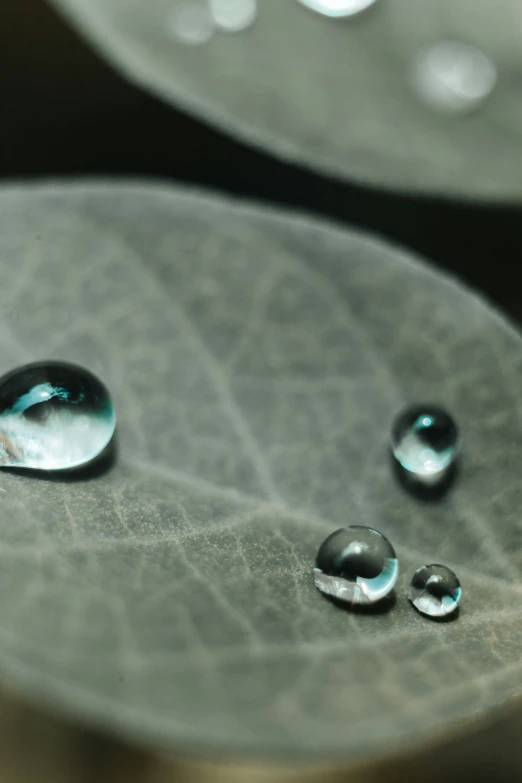 the water drops are from the leaf on the table