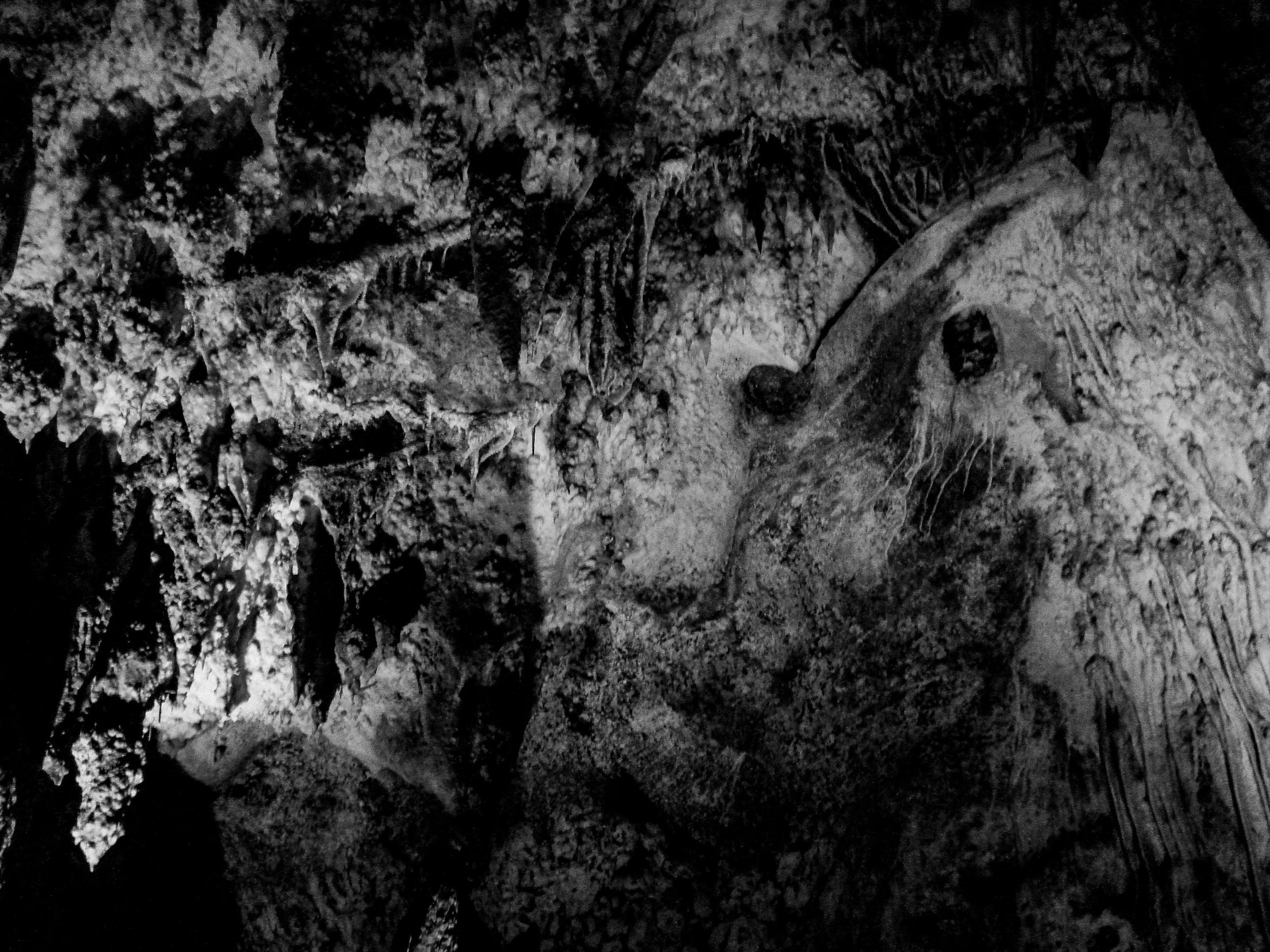 black and white pograph of some rocks and water