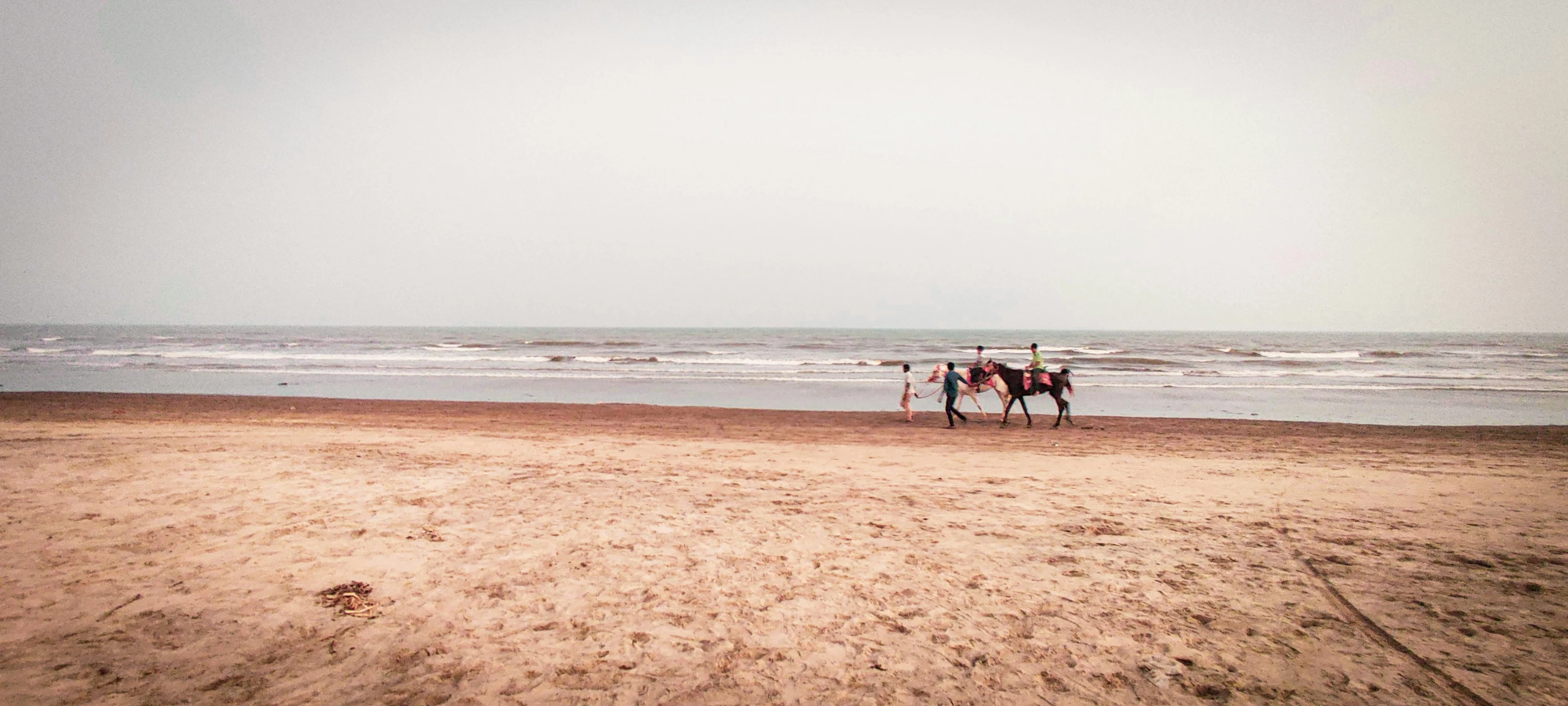 two people and some horses on the beach