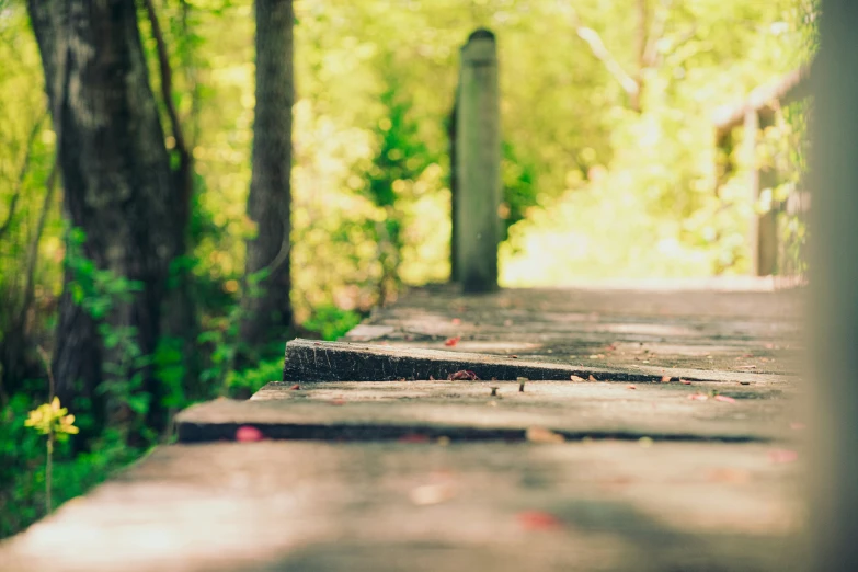 an old cement road with trees behind it