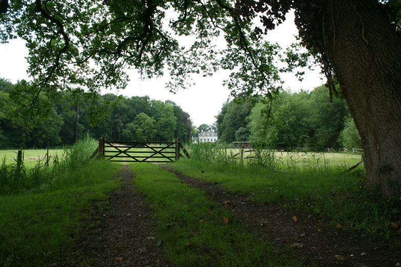 an open field with a gate and a grassy area next to it