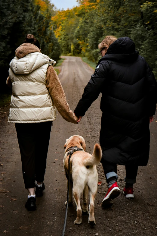 a couple walking a dog down the road