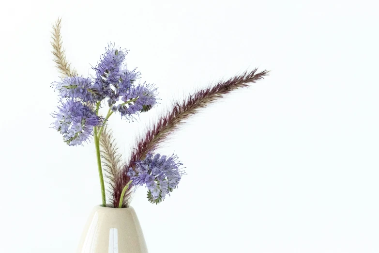 a white vase with a purple flower in it