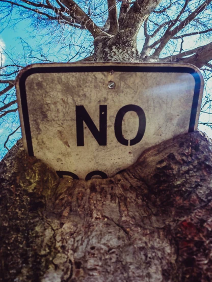 a white sign is sticking up on a tree