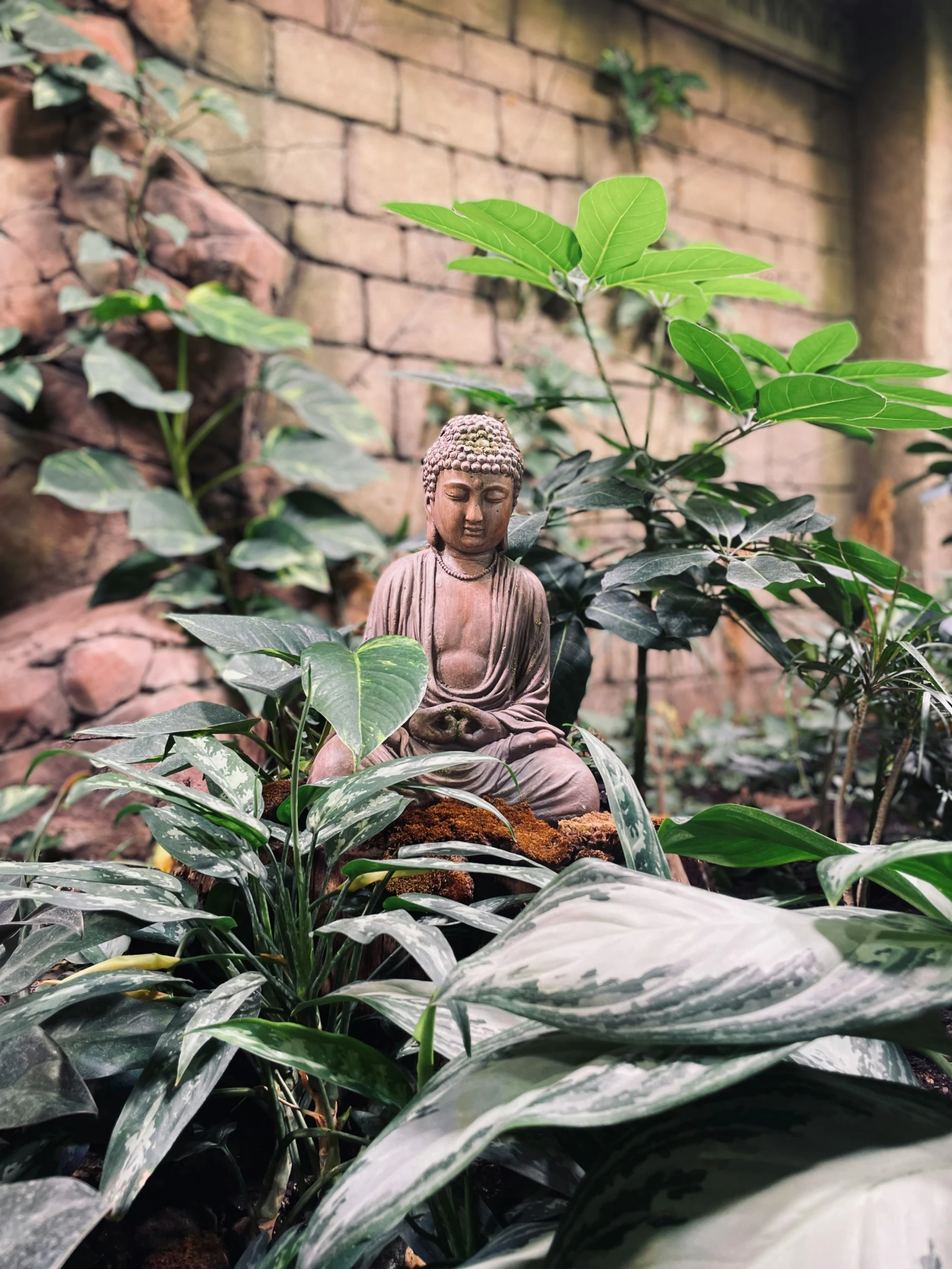 a buddha statue sitting in the middle of some plants