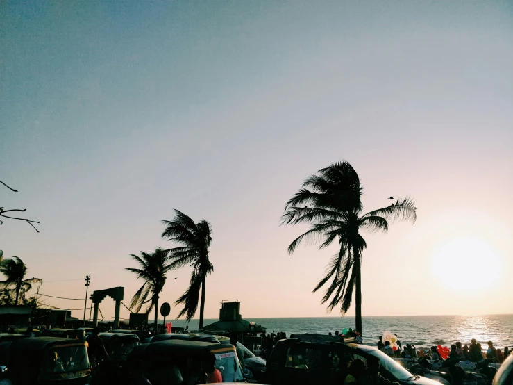 the sun setting over the ocean with palm trees and cars parked on the street