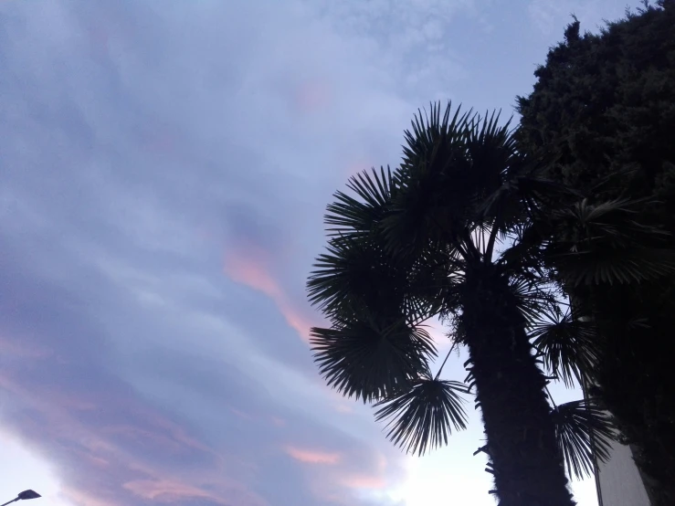 two palm trees are seen under some colorful clouds