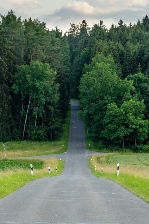 a road going through a forested area in the distance