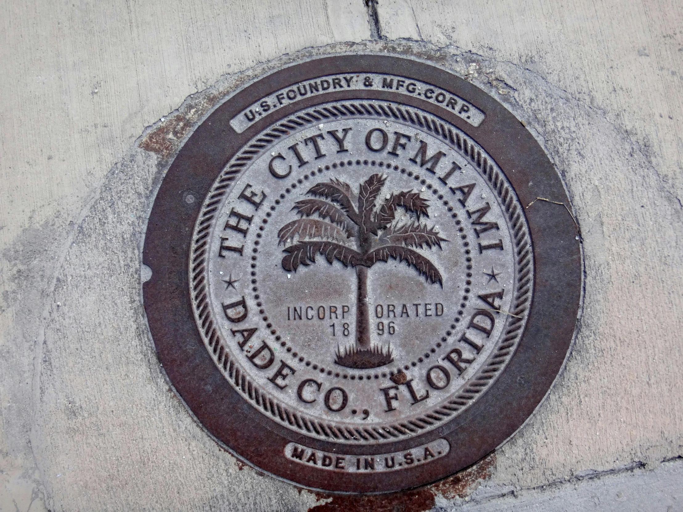 a manhole cover on the street with a palm tree