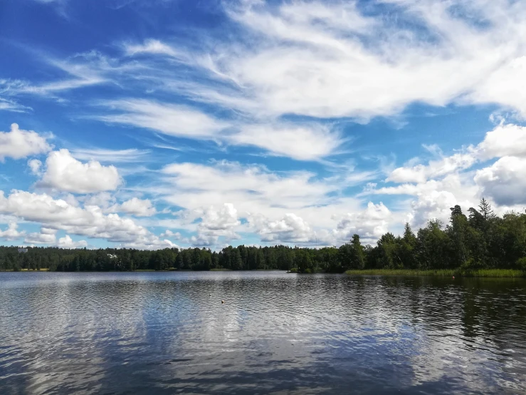 a body of water with trees in the background