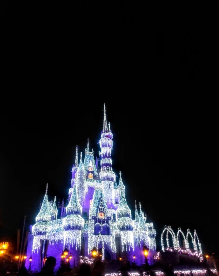 the castle is brightly lit at night for spectators to see